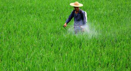 圖片3.png 圖片3.png